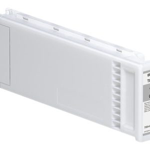 EPSON 1LB Singlepack Gray T800900