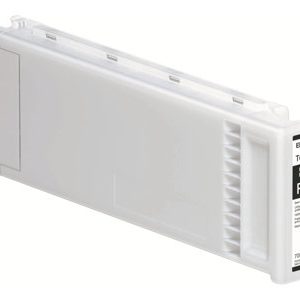 EPSON 1LB T694100 ink cartridge photo