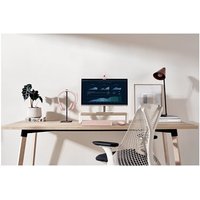 LOGI H390 USB Computer Headset - ROSE