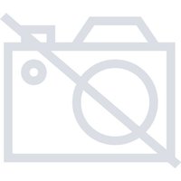 Gainward RTX5050       Ghost            8GB GDDR6  HDMI 3xDP